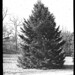 Douglas Sargent Photo 7