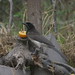 Jay Brown Photo 22