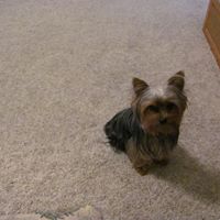 Connie Belcher Photo 9