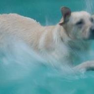 Nancy Wilks Photo 12