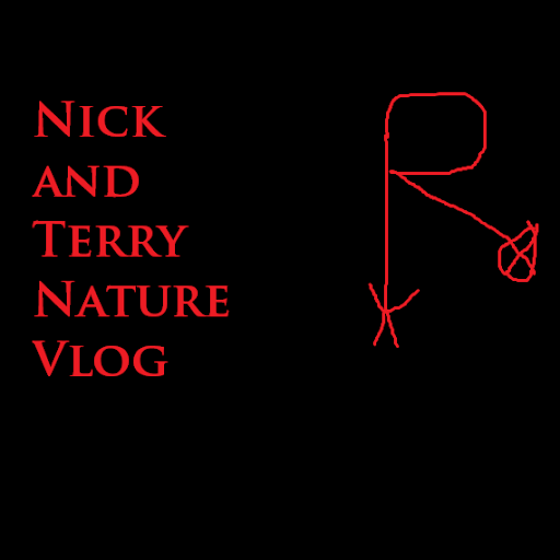Nick Terry Photo 11