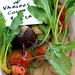 Nancy Farmer Photo 42