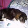 Bertha Rojas Photo 25