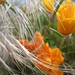Victoria Mcneill Photo 20