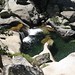 Dana Pool Photo 9