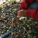 Stacey Holland Photo 16