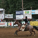 Suzanne Phillips Photo 34