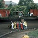 Mark Roll Photo 27