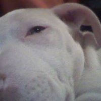 Robyn Rodgers Photo 8