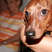 Pat Frederick Photo 11