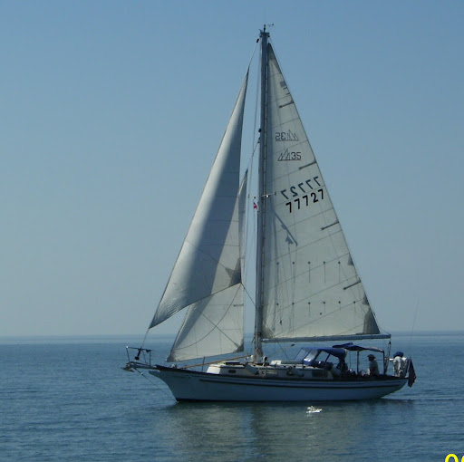 Mark Phipps Photo 14