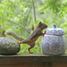 Douglas Smart Photo 9