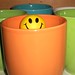 James Mccay Photo 24
