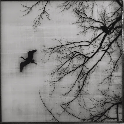 Marie Rameau Photo 18