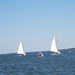 Martha Ruark Photo 5