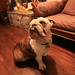 James Bierman Photo 25