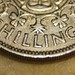 Elizabeth Shilling Photo 4