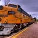 Mark Eckstein Photo 17
