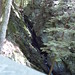 Glen Stevens Photo 14