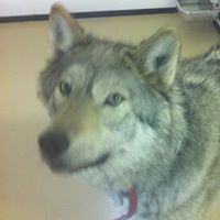Norman Benson Photo 5