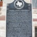 Tom Dodson Photo 35