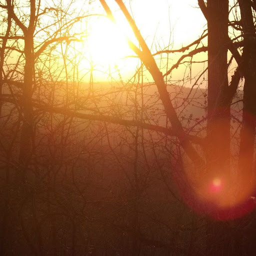Rebecca Fuchs Photo 32