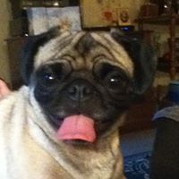 Dixie Gray Photo 7