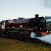 Leander May Photo 7