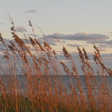 Gail Roberts Photo 38