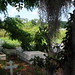Jefferson Jean Photo 9