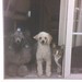 Betty Cash Photo 9