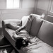Susan Hedges Photo 27