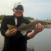 Dave Meek Photo 7