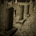 William Pender Photo 18