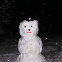 Andy Ledford Photo 5