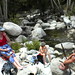 Kimberly Dees Photo 9