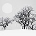 Ron Jones Photo 31