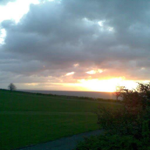 Lynne Randall Photo 2