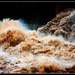 Craig Carroll Photo 8