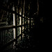 Don Cole Photo 10