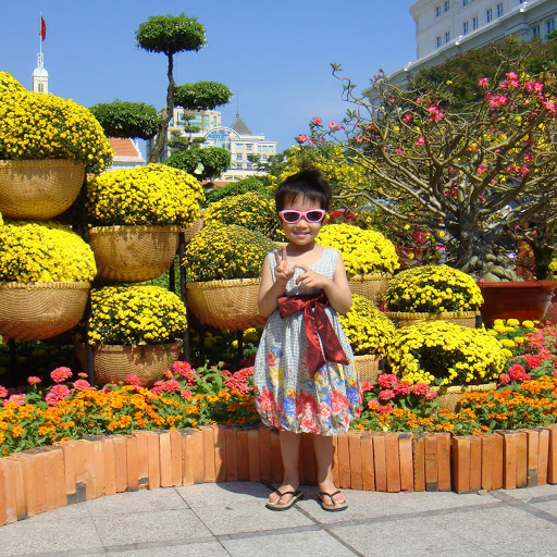 Viet Trinh Photo 29