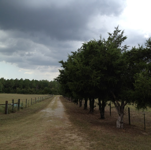 Clayton Lee Photo 5