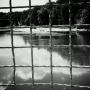 Charles Farris Photo 17