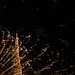 Ann Pollack Photo 26