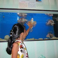 Ta Minh Photo 33