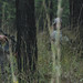 Matthew Colwell Photo 28