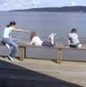 Allison Guenther Photo 9