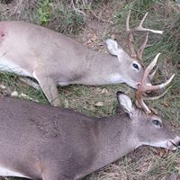 Jerome Rogers Photo 45