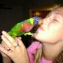 Brooke Montgomery Photo 20