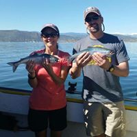 Lisa Coursey Photo 16